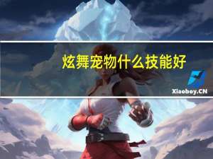 炫舞宠物什么技能好