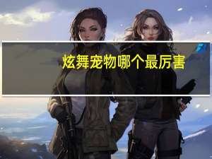 炫舞宠物哪个最厉害