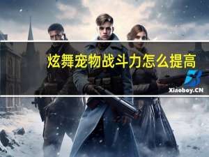 炫舞宠物战斗力怎么提高