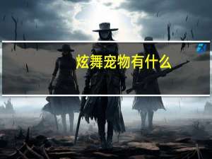 炫舞宠物有什么