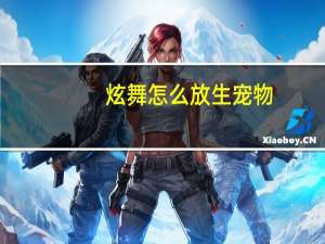 炫舞怎么放生宠物