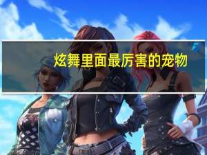 炫舞里面最厉害的宠物