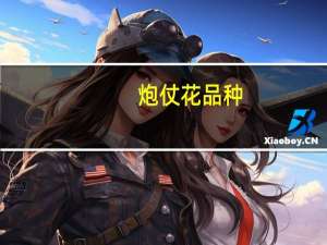 炮仗花品种