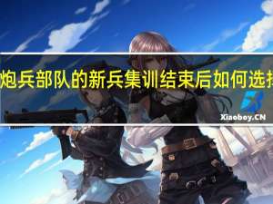 炮兵部队的新兵集训结束后如何选择专业