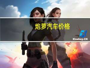 炮萝汽车价格