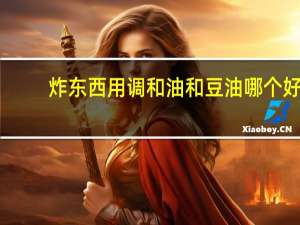 炸东西用调和油和豆油哪个好