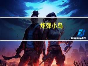 炸弹小鸟（关于炸弹小鸟的介绍）