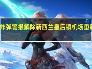 炸弹警报解除 新西兰皇后镇机场重新开放