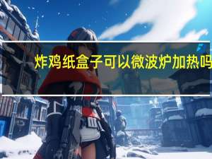 炸鸡纸盒子可以微波炉加热吗