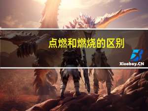 点燃和燃烧的区别