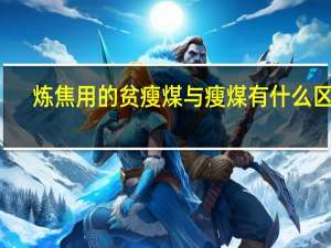炼焦用的贫瘦煤与瘦煤有什么区别