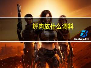 烀肉放什么调料