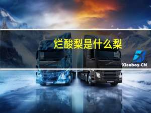 烂酸梨是什么梨