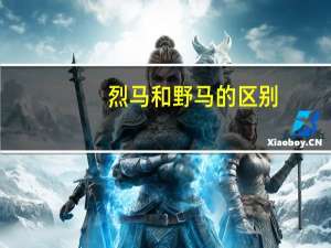 烈马和野马的区别