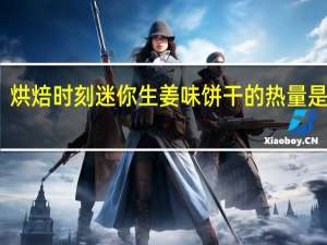 烘焙时刻 迷你生姜味饼干的热量是多少