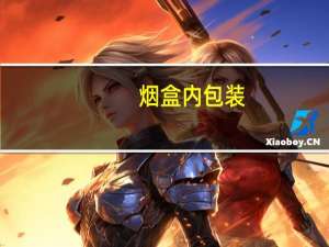 烟盒内包装