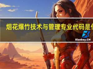 烟花爆竹技术与管理专业代码是什么