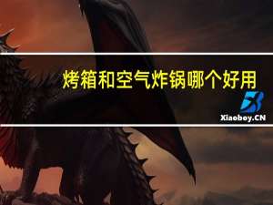 烤箱和空气炸锅哪个好用