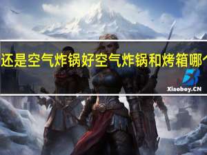 烤箱好还是空气炸锅好 空气炸锅和烤箱哪个更适合家用