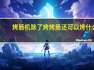 烤肠机除了烤烤肠还可以烤什么