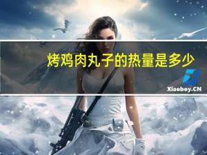 烤鸡肉丸子的热量是多少