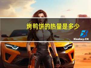 烤鸭饼的热量是多少