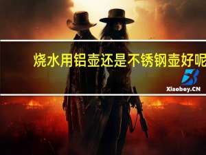 烧水用铝壶还是不锈钢壶好呢