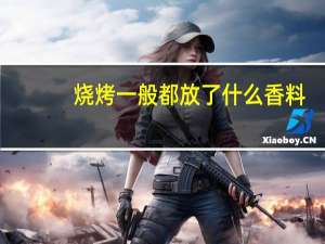 烧烤一般都放了什么香料
