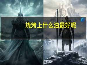 烧烤上什么油最好呢