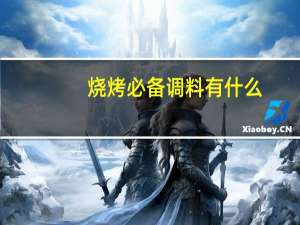 烧烤必备调料有什么