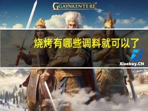 烧烤有哪些调料就可以了