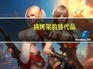烧烤架的替代品