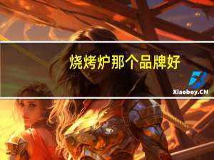烧烤炉那个品牌好