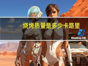 烧烤热量是多少卡路里