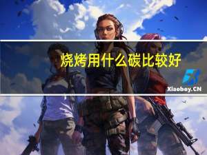 烧烤用什么碳比较好