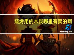 烧烤用的木炭哪里有卖的啊
