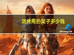 烧烤用的架子多少钱