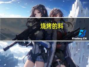烧烤的料