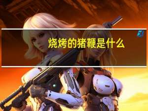 烧烤的猪鞭是什么