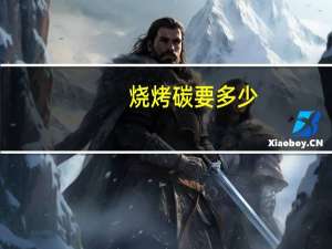 烧烤碳要多少