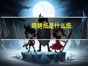 烧烤纸是什么纸
