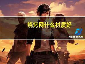 烧烤网什么材质好