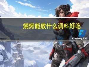 烧烤能放什么调料好吃