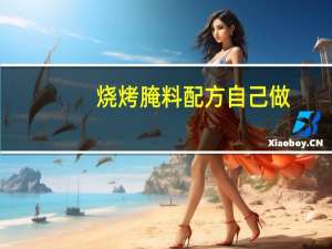 烧烤腌料配方自己做