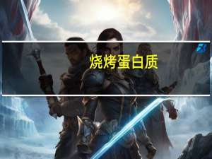 烧烤蛋白质