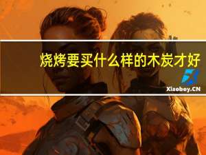烧烤要买什么样的木炭才好