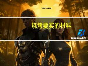 烧烤要买的材料