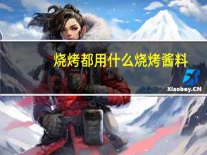 烧烤都用什么烧烤酱料