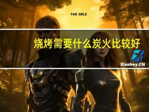 烧烤需要什么炭火比较好