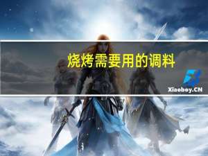 烧烤需要用的调料
